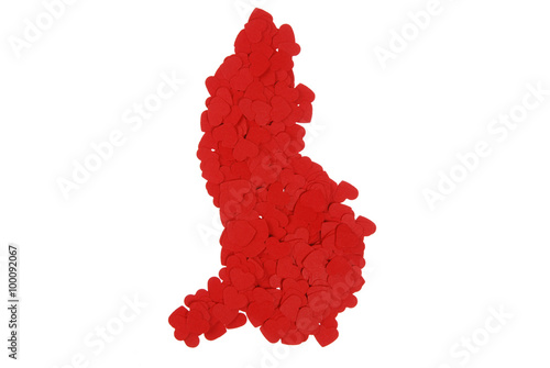 contour of the Liechtenstein