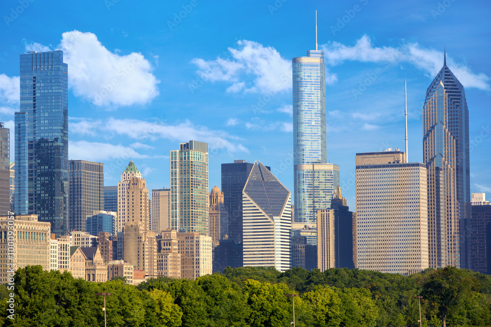 Fototapeta premium Cityscape w centrum Chicago, Stany Zjednoczone