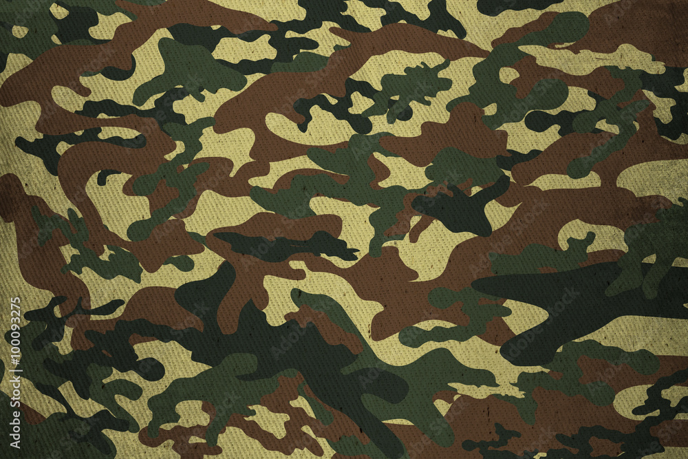 Fototapeta premium Military Camouflage texture background