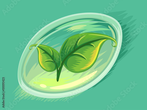 Herbal Soft Gel Capsule Leaves