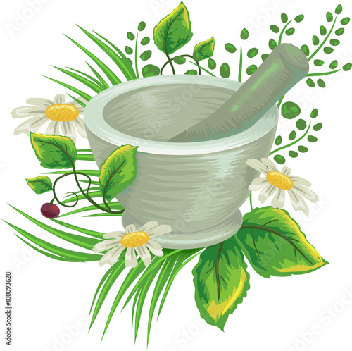 Herbs in a Mortar