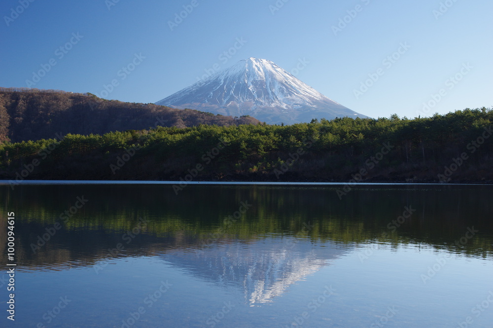 Mt.Fuji, view from the shore of Lake Saiko　富士五湖西湖と富士山の休日
