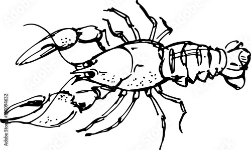 Lobster. Vector illustration