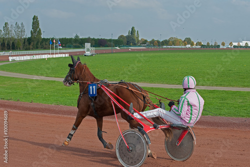Bilde på lerret sulky