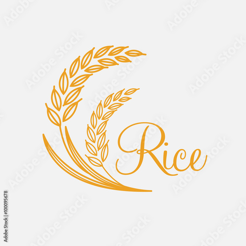 rice vector