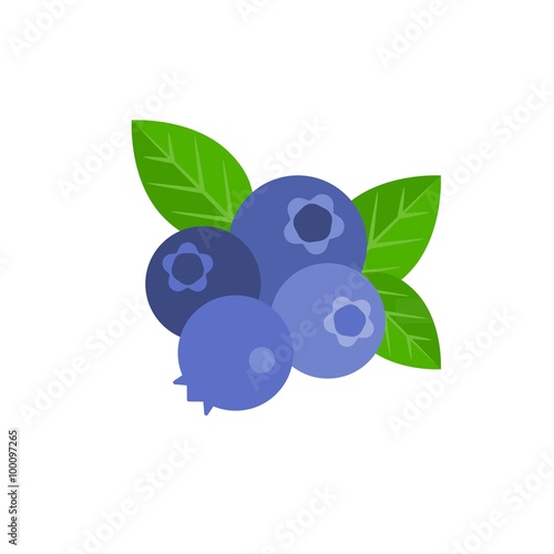 Vector bunch of blueberry, flat design