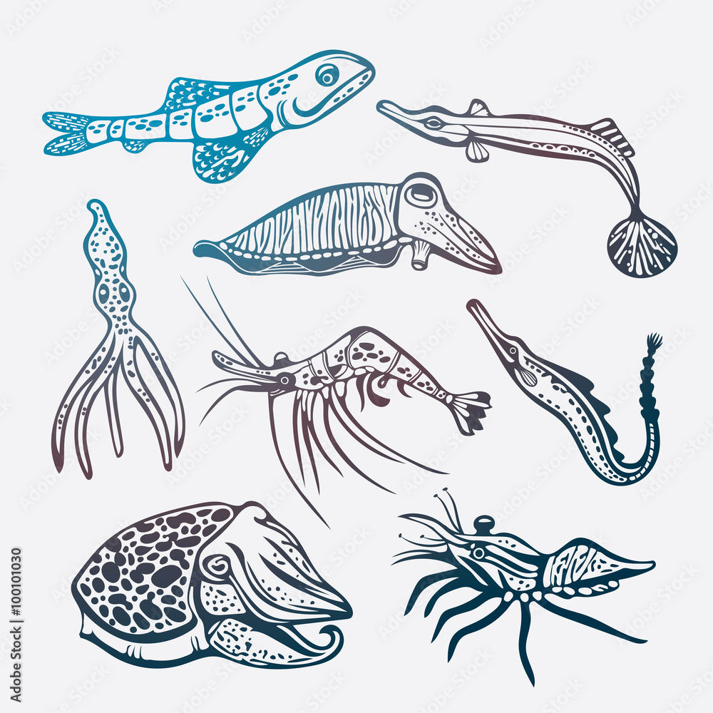 Vector set of underwater creatures.