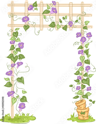 Garden Trellis Floral Vines