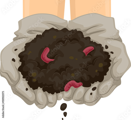 Vermicast Soil Hands