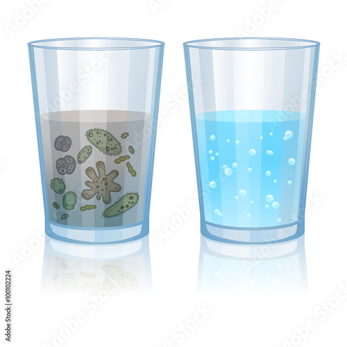 Glass with clean and dirty water, infection illustration. Vector