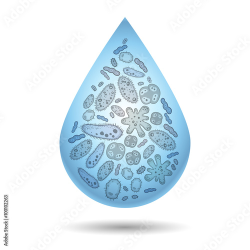 Microbes, bacteria and virus in drop of dirty water, infection 
