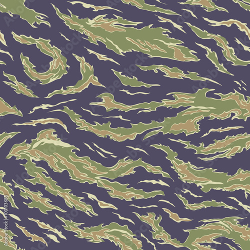 Military Camouflage Textile Pattern photo