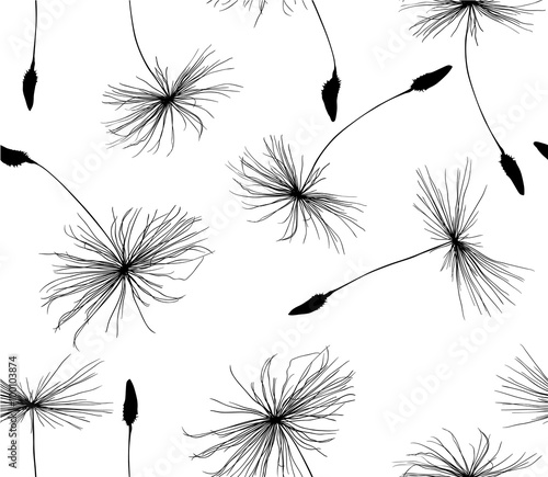 seamless background from black dandelion seeds