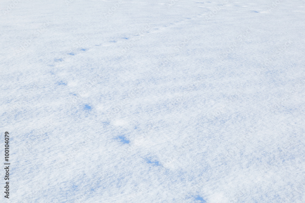 北海道の雪　Snow image