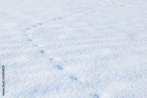 北海道の雪 Snow image