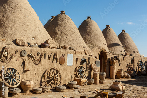 Beehive houses in south-east of Anatolia,Turkey photo