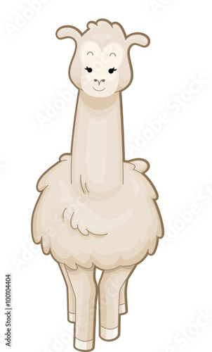 Llama Front