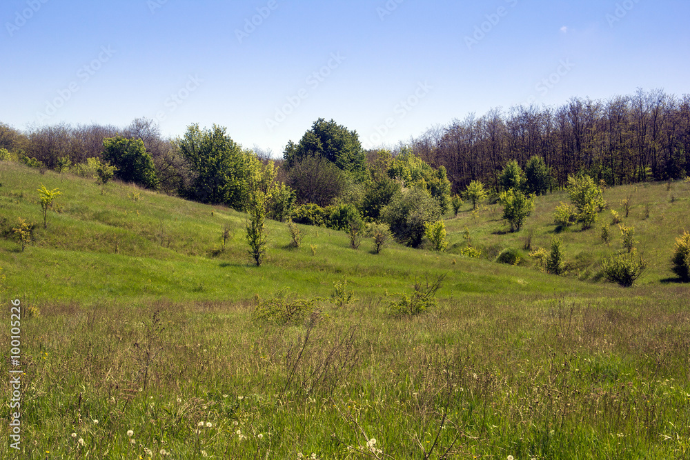 landscape of a green grassy valley, hills with forest and sky