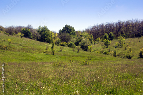 landscape of a green grassy valley  hills with forest and sky