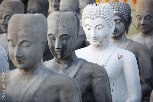 Photography buddha statue