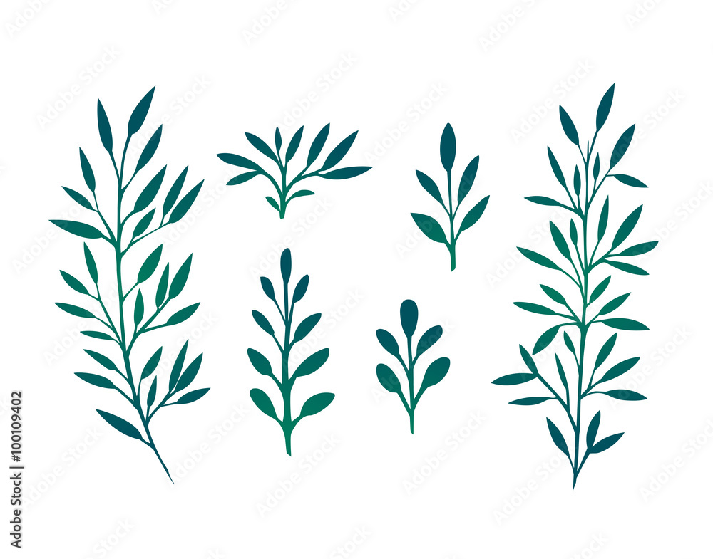 Naklejka premium Set of branches with leaves and herbs for design 