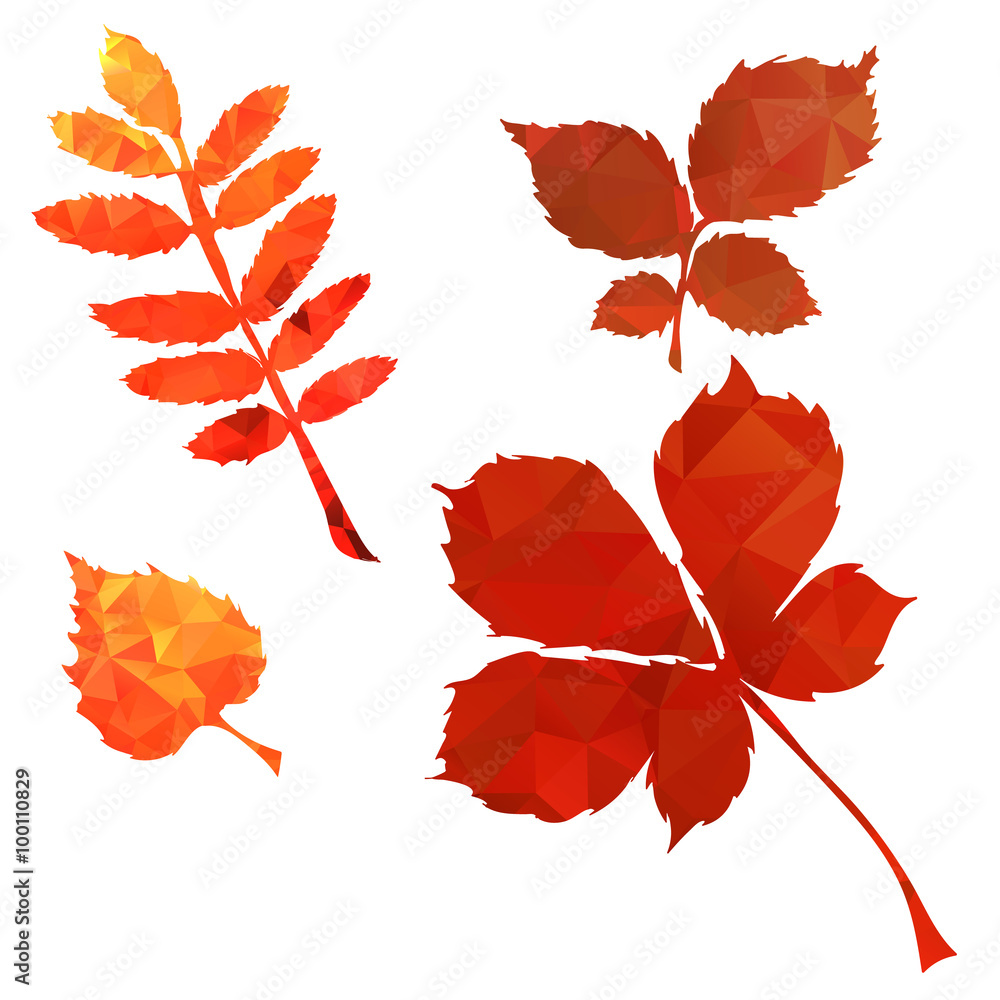 Fototapeta premium Autumn polygonal bright and colorful leaves design