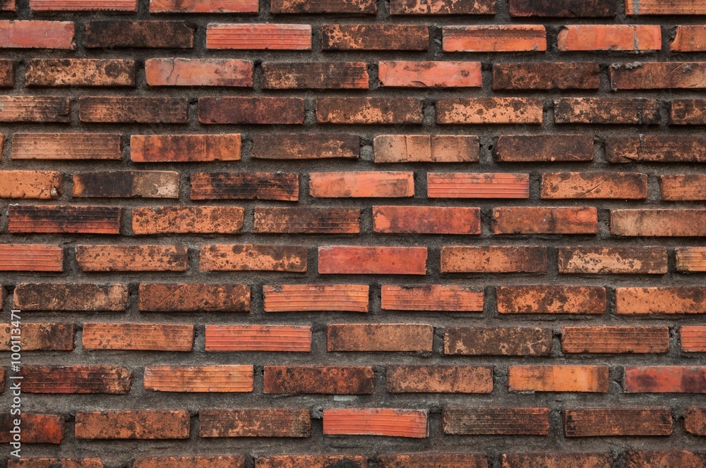 Fototapeta premium Old brick wall textured