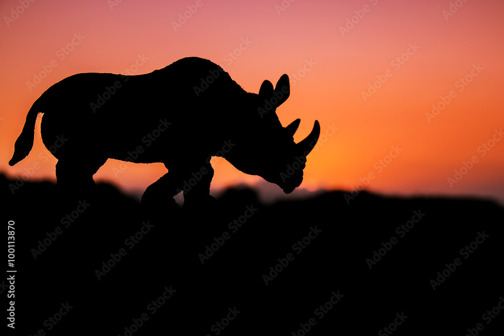Fototapeta premium rhinoceros on sunset background