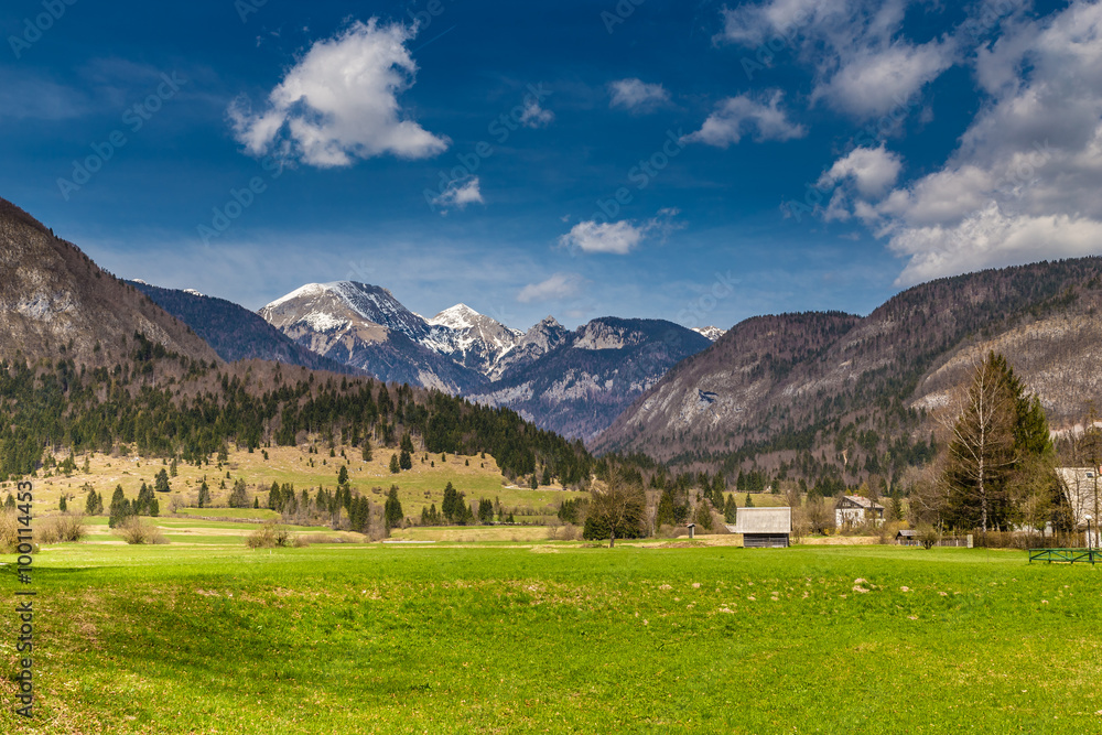 Rural Landscape With Mountain Near Bohinj-Slovenia