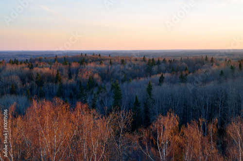 forest covered landscape at the sunset