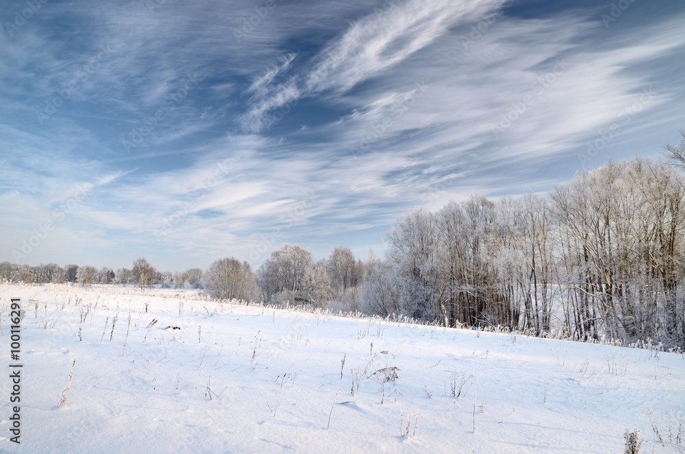 winter countyside view