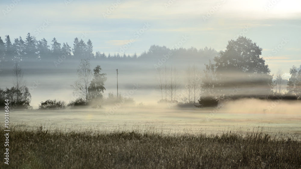 Rural field covered with morning fog Rural field covered with morning fog