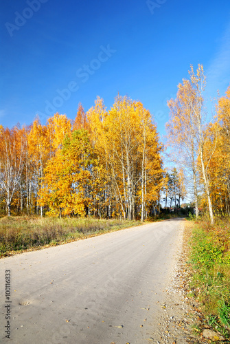 country road in fall season. Latvia