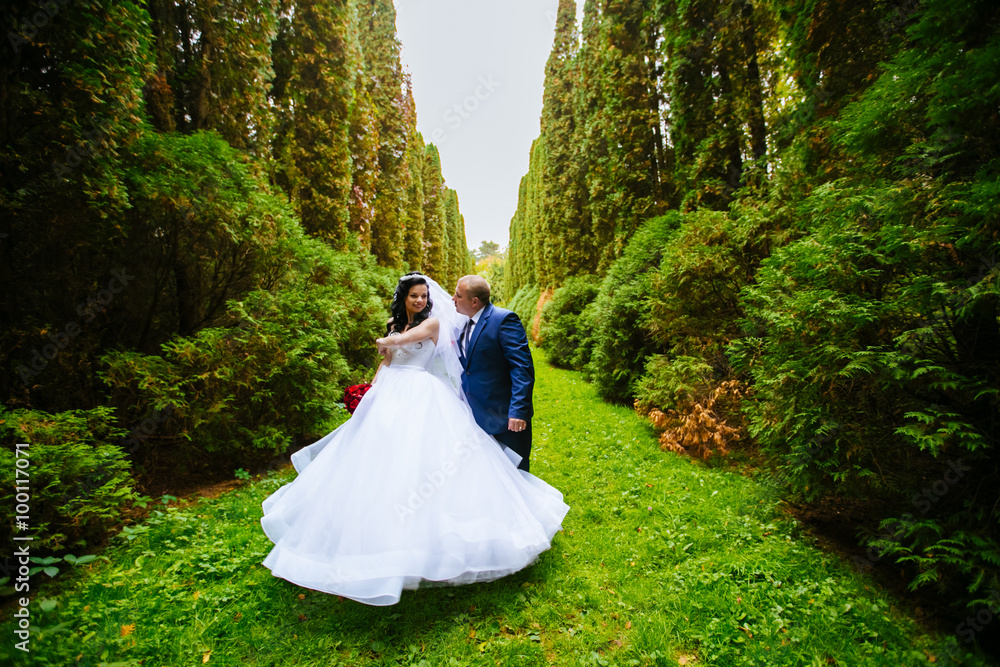 luxury stylish young bride and groom on the background spring sunny green forest luxury stylish young bride and groom on the background spring sunny green forest