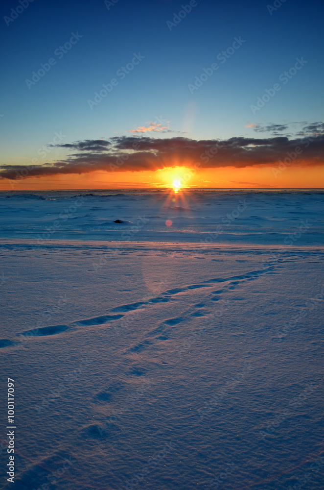 Obraz premium colorful sunset at the snowy Baltic sea shore
