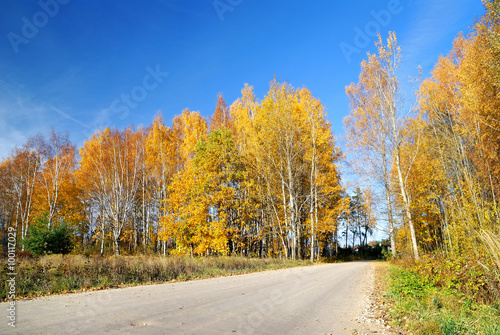 country road in fall season. Latvia