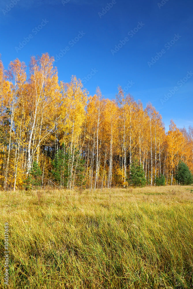 classical Autumn landscape