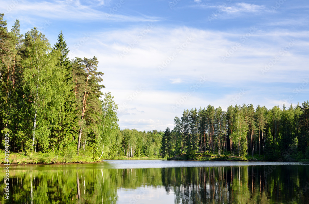 Fototapeta premium lake in the forest with reflection