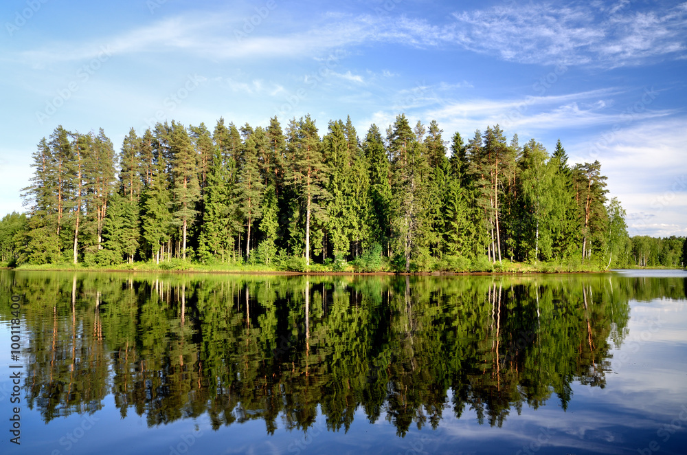 lake in the forest with reflection