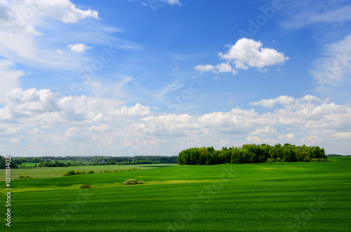 classic rural landscape. Green field against blue sky © dumiceava
