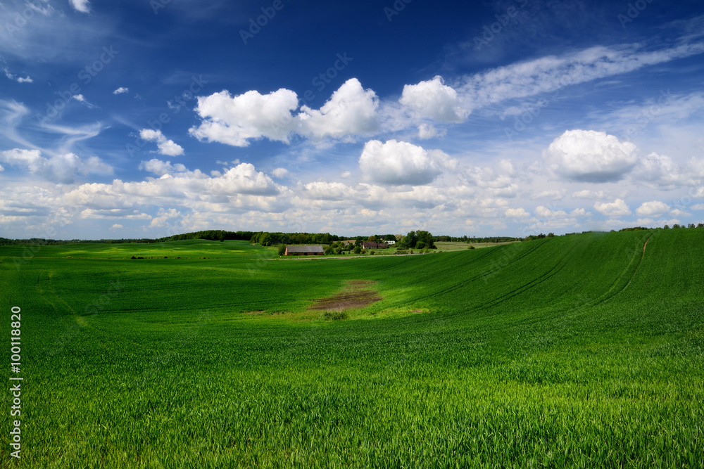 classic rural landscape. Green field against blue sky