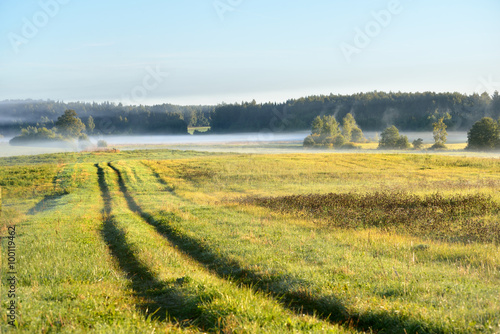 Rural field covered with morning fog