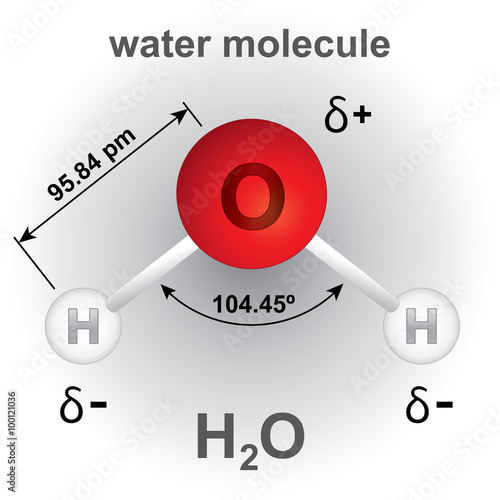 Structure and composition chemical element water molecule