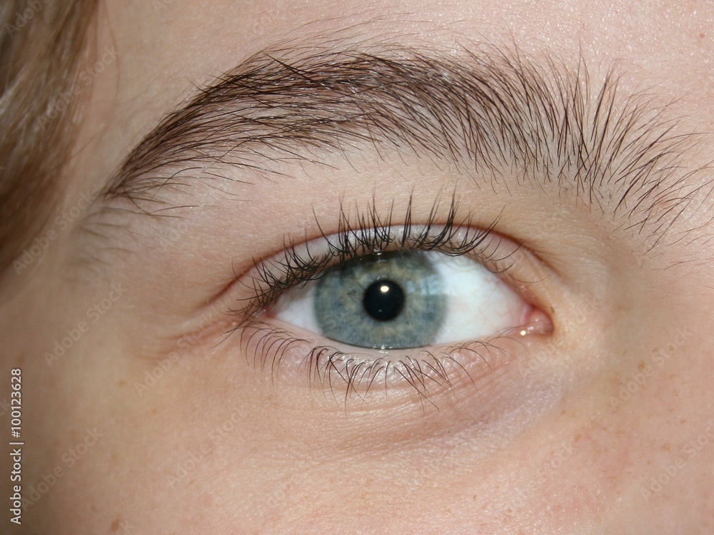Obraz premium Niebieskie ludzkie oczy.