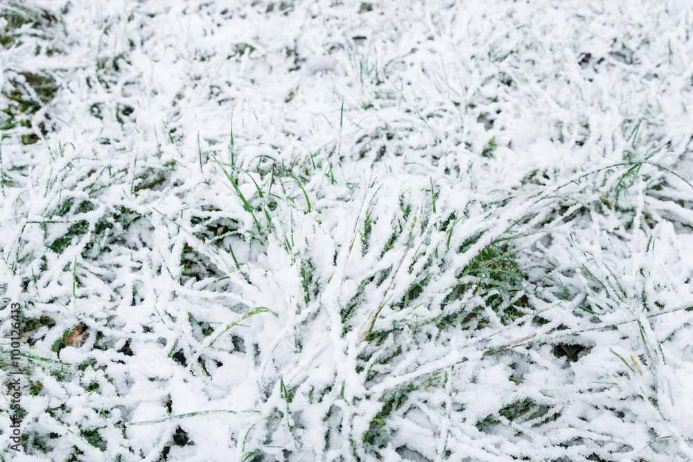 Frost und Schnee Frost und Schnee