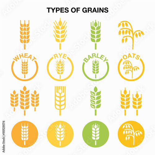 Types of grains, cereals icons - wheat, rye, barley, oats