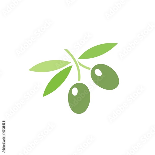 Icono aislado de aceitunas. Rama de olivo