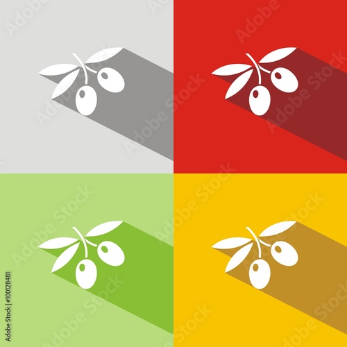 Icono de aceitunas. Rama de olivo sobre fondos de colores