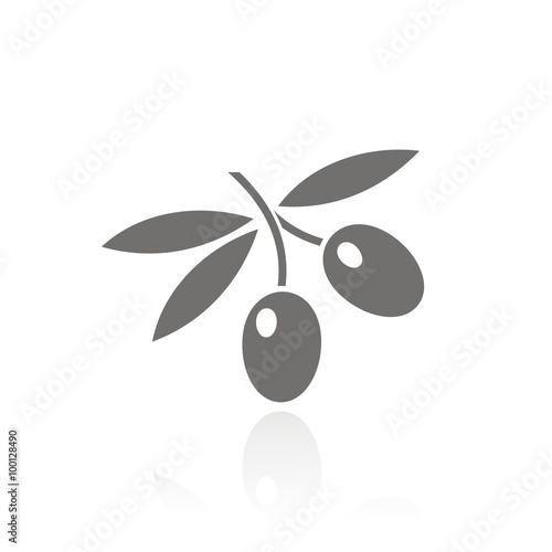 Icono de aceitunas. Rama de olivo sobre fondo blanco