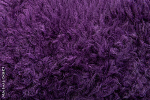 violet tanned leather texture, decorated with fur
